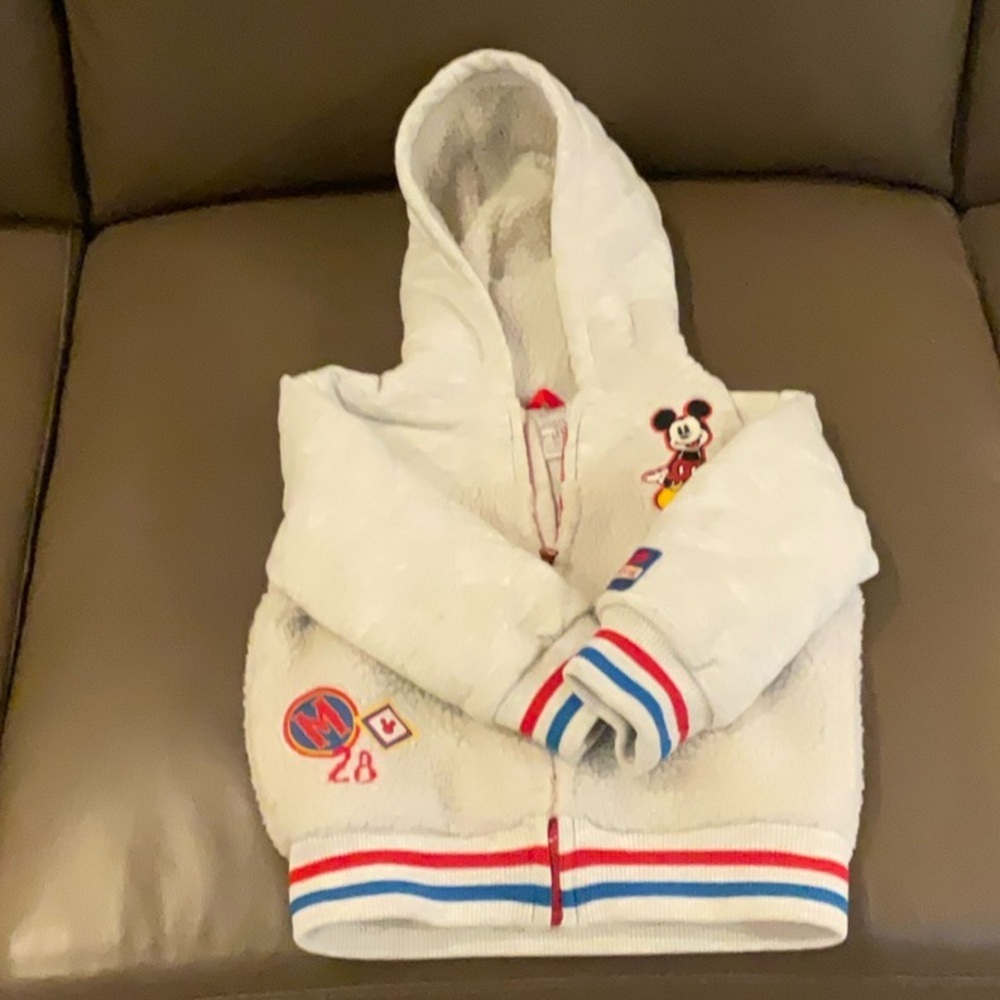 Disney baby Gray Hoodie with Embroidered Design